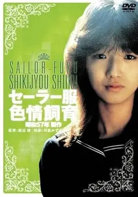 腐漫画网短剧推荐《直播间里遇见你》剧照